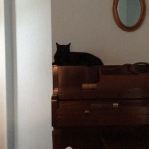 Meet your Posher, Diane